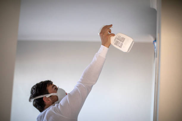 Best HVAC Mold Remediation in Round Rock, TX