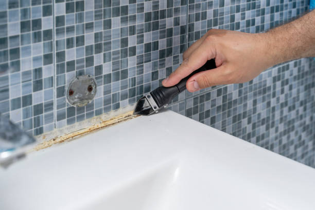 Best Insurance-Related Mold Remediation in Round Rock, TX