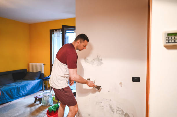  Round Rock, TX Mold Removal Pros